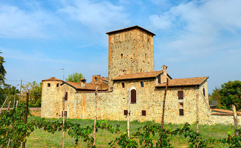 DUE PASSI PER SAN DAMIANO PIACENTINO